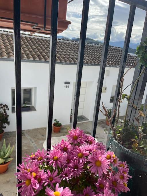 Casa La Fuente Alta Villa อัลโกโดนาเลส ภายนอก รูปภาพ