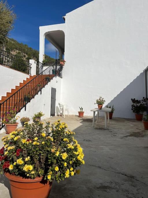 Casa La Fuente Alta Villa อัลโกโดนาเลส ภายนอก รูปภาพ